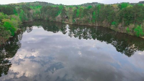 2560 Winding Lake Trl, Conyers GA  30012-2492 exterior
