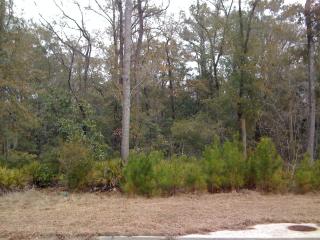 4503 Mahan Dr, Hahira, GA 31632-2617