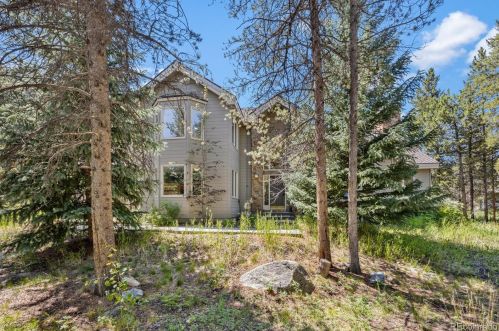 21 Saw Whiskers Cir, Montezuma CO  80435-7903 exterior