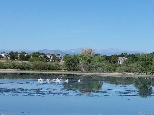 12711 Colorado Blvd, Denver CO  80241-2803 exterior