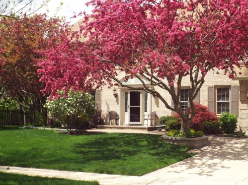 1441 Ambleside Cir, Naperville, IL 60540-0317