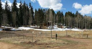 236 Valley Rd, Twin Rock, CO 80816-9107