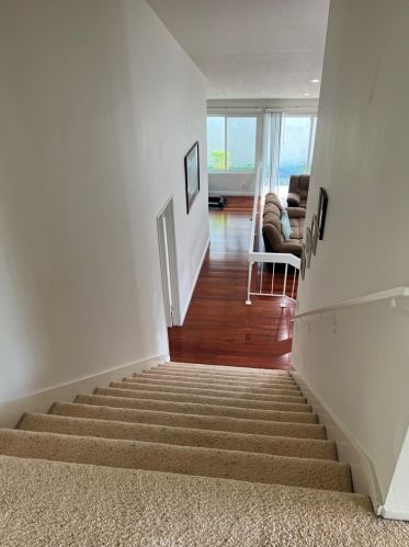 3 Deer Spg, Irvine CA  92604-3011 exterior