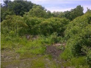 208 Flower Dr, Barrington, NH 03825-7305