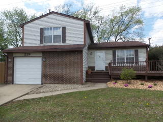 229 Yellow Pine Dr, Lemont IL  60440-1748 exterior