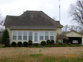 219 Broad St, Dyer, TN 38330-1403