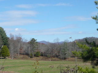 1 Bluff Rd, Marble, NC 28905-8514