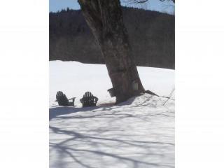 193 Bradley Lake Rd, Andover, NH 03216-3504
