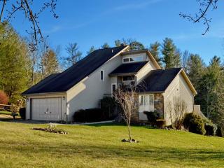 17 Scenic View Dr, Weaverville, NC 28787-9379