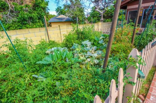 1621 Sumac Ln, Anaheim CA  92804-6653 exterior