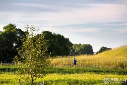 4622 Hahns Peak Dr, Loveland CO 80538-6159 exterior