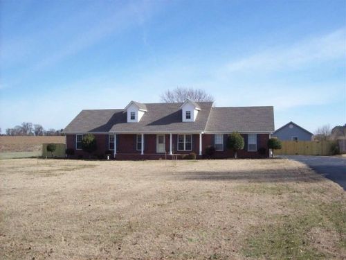 71 Turner Loop Rd, Three Way, TN 38343-8528