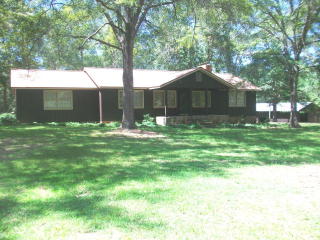 346 Trice Rd, Ellaville, GA 31806-5834