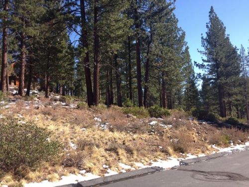 8815 George Whittell, Truckee, CA 96161-5152