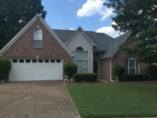 3927 Peachtree Ln, Memphis, TN 38135-9116