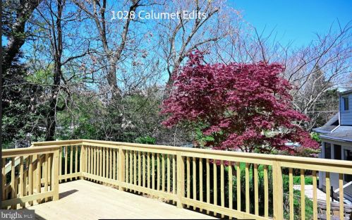 10208 Calumet Dr, Silver Spring MD  20901-4602 exterior