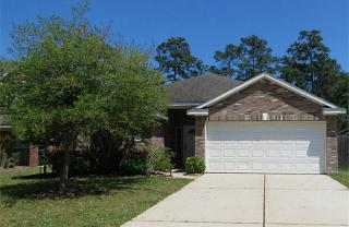 31714 Cattail Park Ct, Conroe TX  77385-3772 exterior
