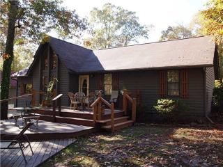 1110 Ymca Ln, Counce, TN 38326-4536