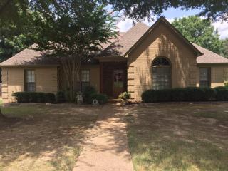 336 Morton Rd, Piperton, TN 38017-1860