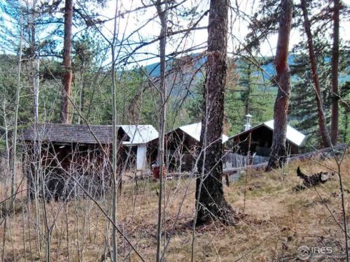 31620 Buckhorn Rd, Bellvue, CO