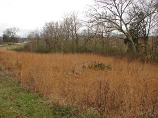 288 Garrett Rd, Quebeck, TN 38579-2377