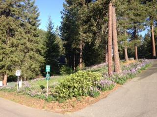 20631 Miracle Mile, Plain, WA 98826-9584