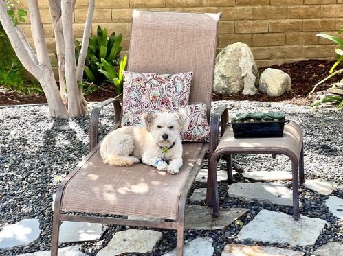 1755 Emory Ave, Simi Valley CA 93063-5005 exterior