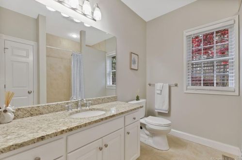 42 Vintage Ln, Wapping CT  06074-1616 exterior