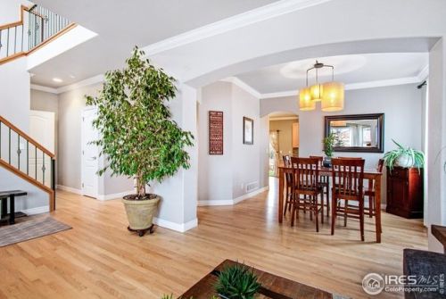 8135 Lighthouse Ln, Fort Collins CO  80528-8980 exterior