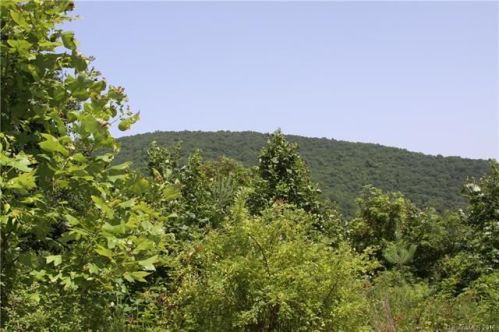 14 Crossing Cir, Fairview, NC 28730-5511
