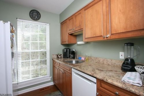 19 Green Heron Dr, Hackettstown NJ  07840-3300 exterior