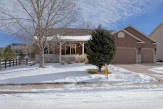 15667 Candle Crk Dr, Woodmoor CO  80132-6012 exterior