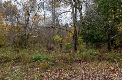 259 Cordaville Rd, Southborough MA 01772-2085 exterior