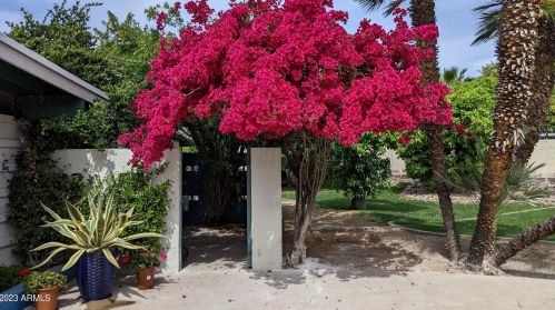 4202 55 Pl, Phoenix AZ exterior