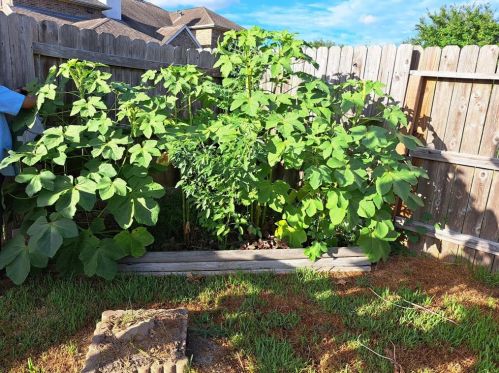 17306 Browning Trace Ln, Richmond TX 77407-2752 exterior