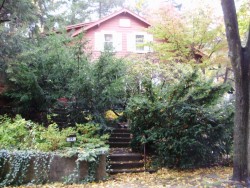 39 Pine Crest Rd, Newton, MA 02459-2143