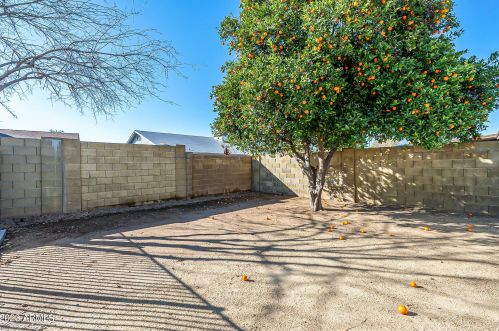 4141 Altadena Ave, Phoenix AZ  85029-3025 exterior