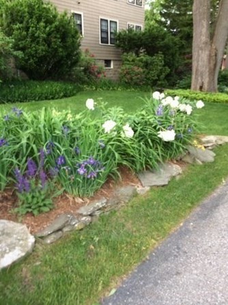 147 Highland Ave, Arlington MA 02476-7846 exterior