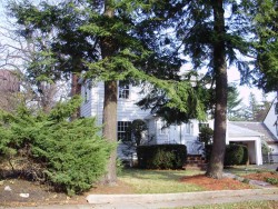 11 Lombard St, Newton, MA 02458-2513