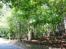 89 Moffat Rd, Newton, MA 02468-1114