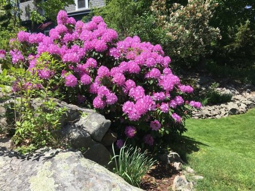 216 Hull St, Hingham MA 02043-1423 exterior