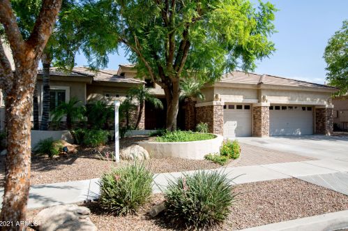 372 Macaw Dr, Chandler, AZ 85286-7756