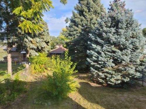 4131 Grove Ave, Forest View, IL 60402-4436