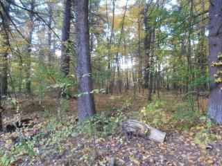 343 Howard St, Northborough MA  01532-1026 exterior