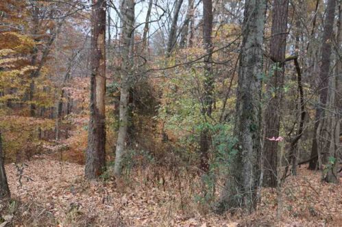 51 Cherokee Rd, Glasgow, KY 42156-9320