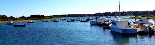 65 Morris Is Rd, Chatham MA 02633-2526 exterior