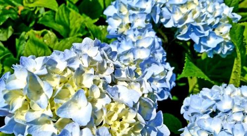 65 Morris Is Rd, Chatham MA 02633-2526 exterior