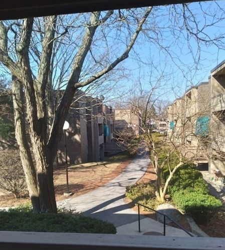 36 Shrewsbury Green Dr, Shrewsbury, MA 01545-3635