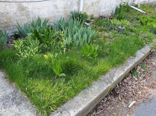 187 High St, Taunton MA 02780-3537 exterior