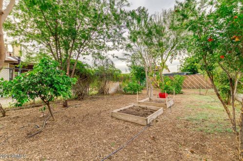 3844 Bloomfield Rd, Phoenix AZ  85032-7334 exterior